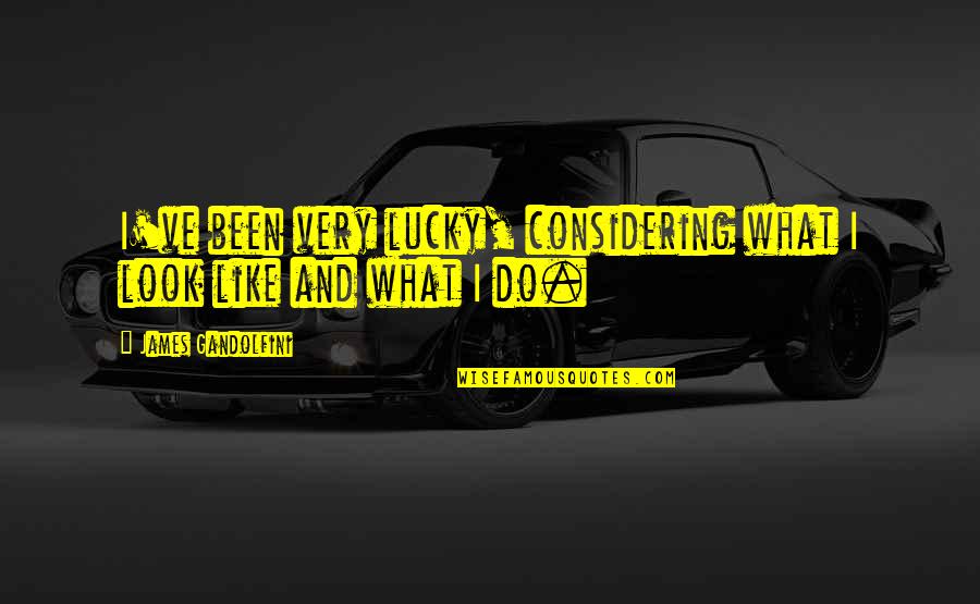 Hvilket Lag Quotes By James Gandolfini: I've been very lucky, considering what I look Hvilket Lag Quotes By James Gandolfini: I've been very lucky, considering what I look