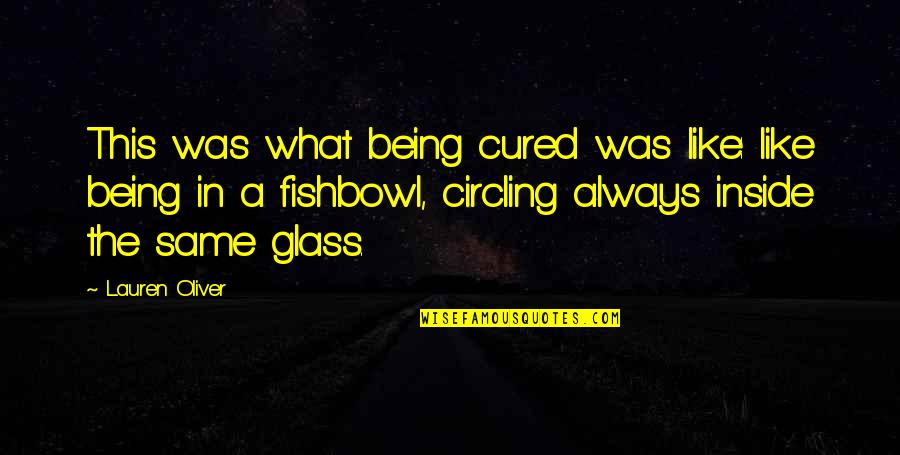 Hweiss Quotes By Lauren Oliver: This was what being cured was like: like