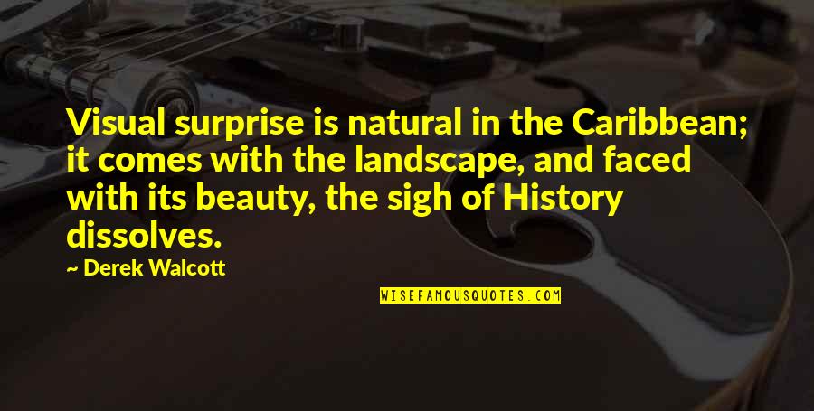 Hwowear Quotes By Derek Walcott: Visual surprise is natural in the Caribbean; it