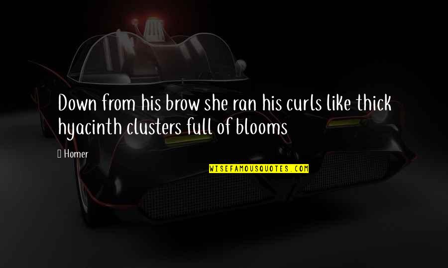 Hyacinth Quotes By Homer: Down from his brow she ran his curls
