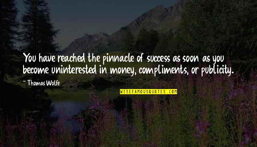 Hyacinth Quotes By Thomas Wolfe: You have reached the pinnacle of success as