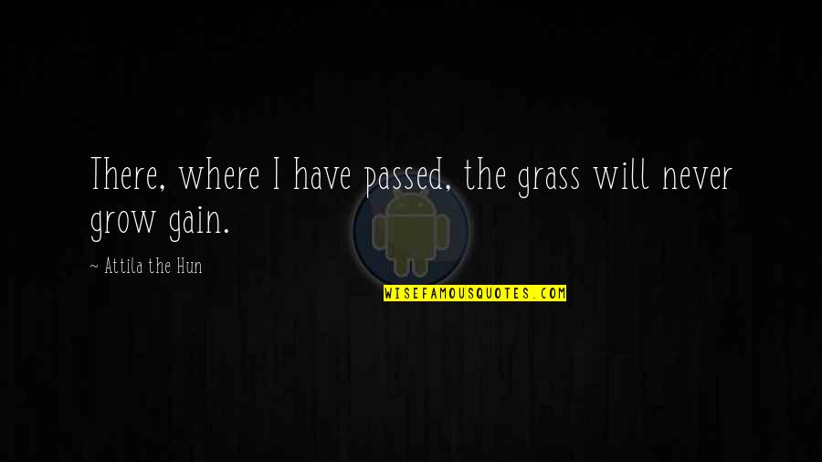Hydrates Chemistry Quotes By Attila The Hun: There, where I have passed, the grass will