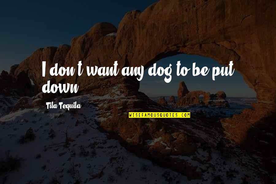 Hydrogenosomes Quotes By Tila Tequila: I don't want any dog to be put