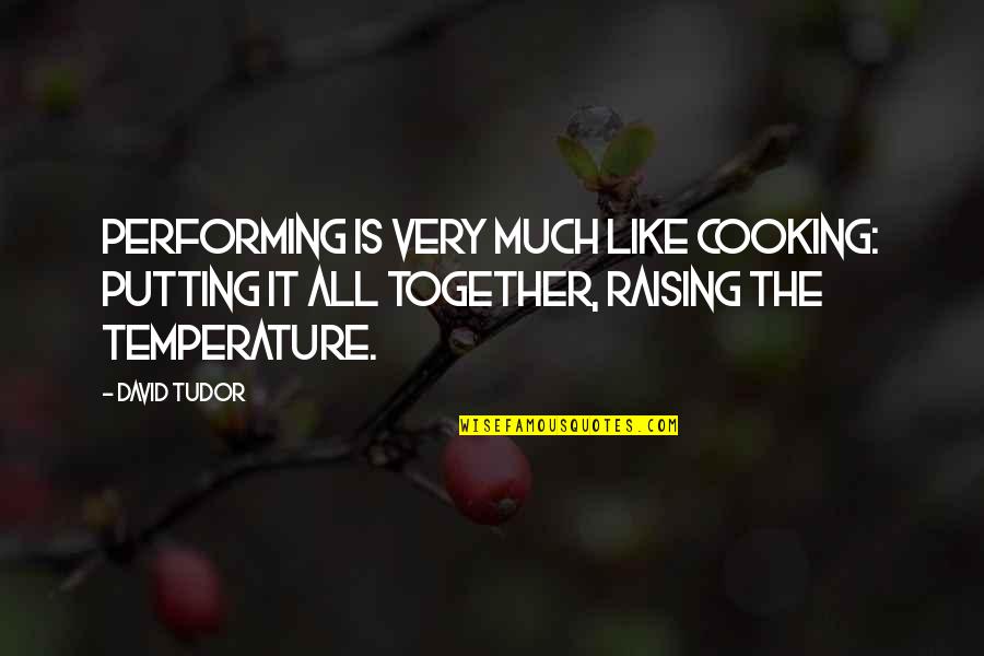 Hydros Quotes By David Tudor: Performing is very much like cooking: putting it Hydros Quotes By David Tudor: Performing is very much like cooking: putting it