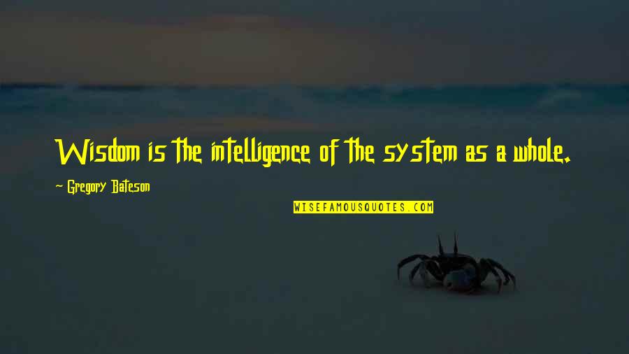 Hyneman Quotes By Gregory Bateson: Wisdom is the intelligence of the system as Hyneman Quotes By Gregory Bateson: Wisdom is the intelligence of the system as
