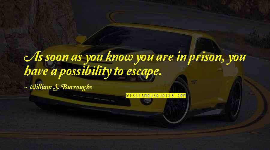 Hyoun Miok Quotes By William S. Burroughs: As soon as you know you are in Hyoun Miok Quotes By William S. Burroughs: As soon as you know you are in