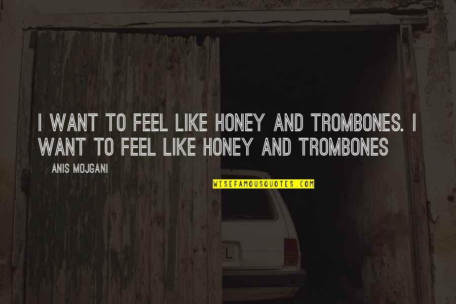 Hyper Masculine Quotes By Anis Mojgani: I want to feel like honey and trombones.