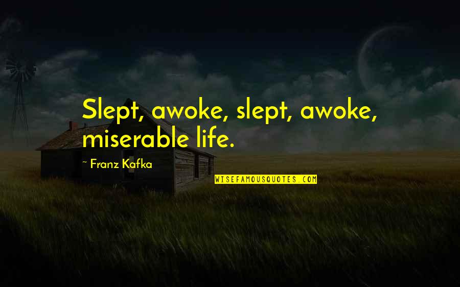 Hyperbole Poem Quotes By Franz Kafka: Slept, awoke, slept, awoke, miserable life.