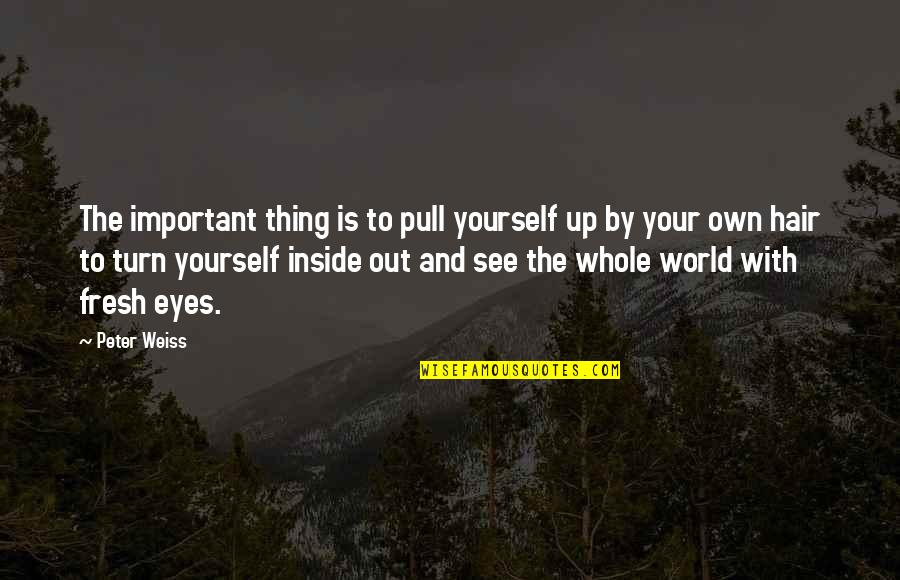 Hypervigilant Narcissist Quotes By Peter Weiss: The important thing is to pull yourself up