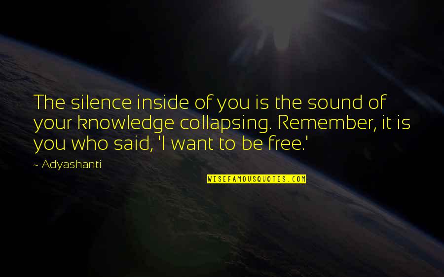 Hypnotised Quotes By Adyashanti: The silence inside of you is the sound