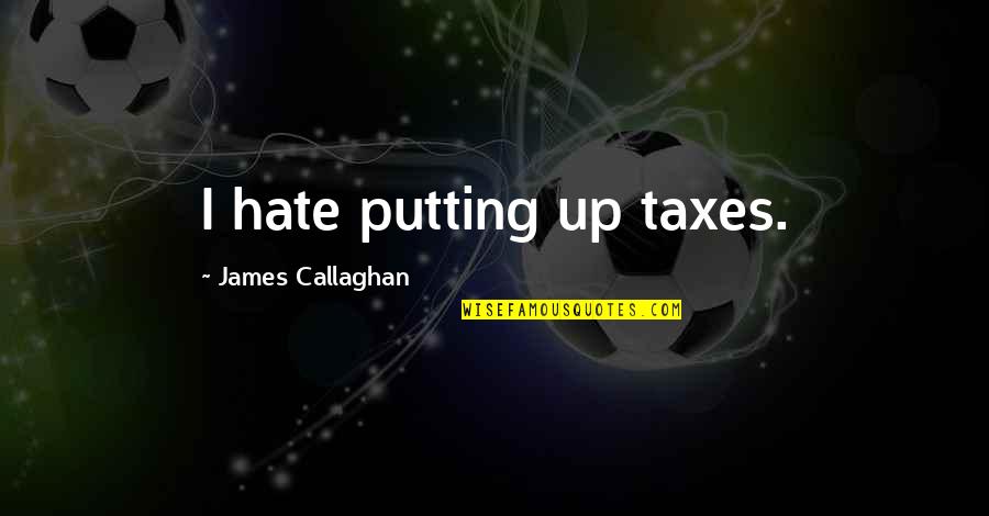 Hypocrisy And Ignorance Quotes By James Callaghan: I hate putting up taxes.
