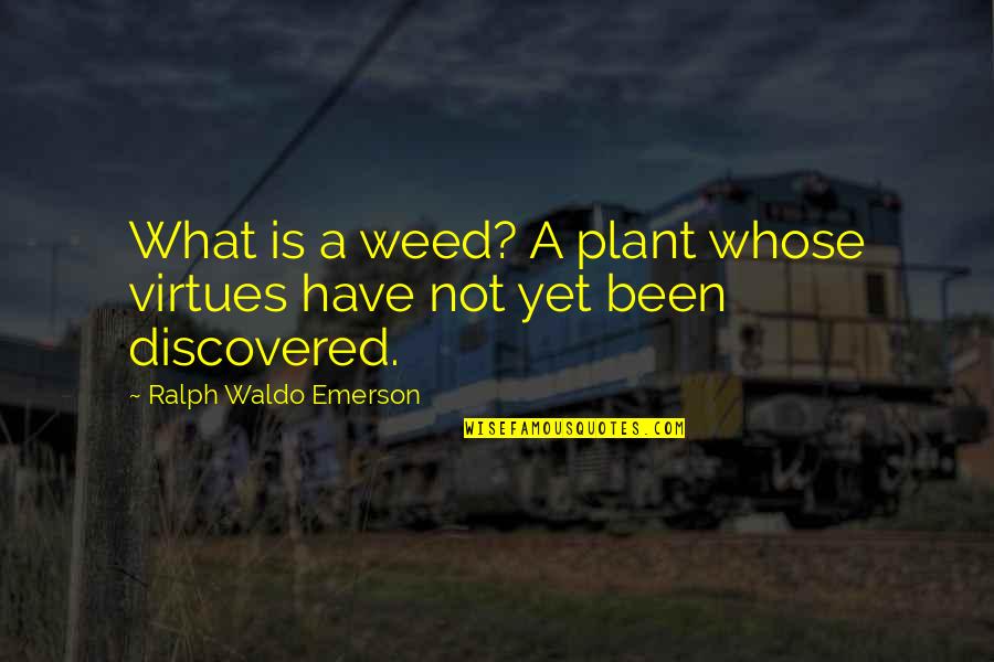 Hypocrisy In Huck Finn Quotes By Ralph Waldo Emerson: What is a weed? A plant whose virtues