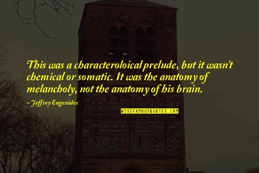 Hyposulphite Quotes By Jeffrey Eugenides: This was a characteroloical prelude, but it wasn't