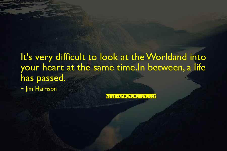 Hypotenuse Quotes By Jim Harrison: It's very difficult to look at the Worldand