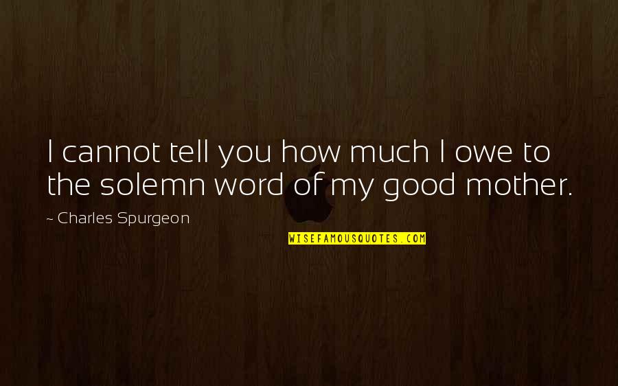 Hysterical Bonding And Infidelity Quotes By Charles Spurgeon: I cannot tell you how much I owe
