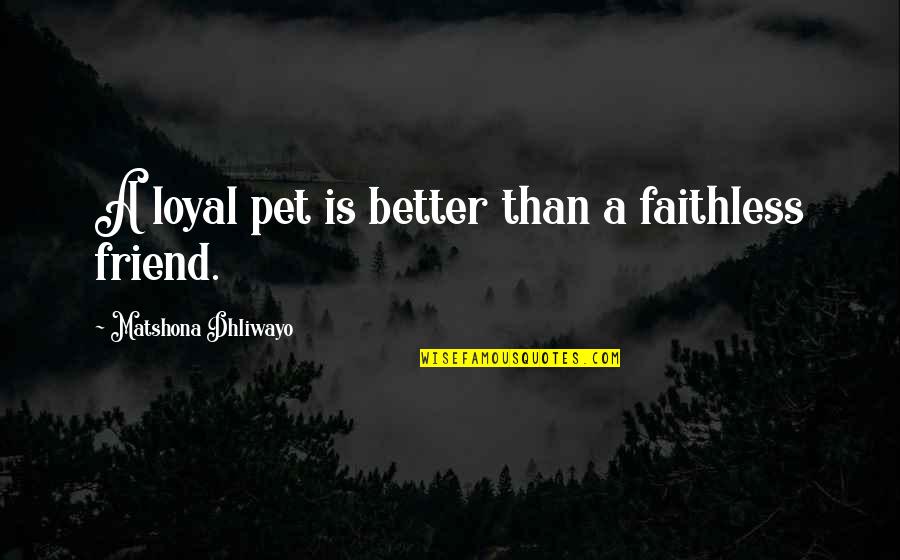 I Adore You Long Quotes By Matshona Dhliwayo: A loyal pet is better than a faithless I Adore You Long Quotes By Matshona Dhliwayo: A loyal pet is better than a faithless