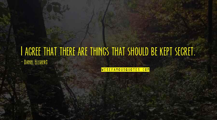 I Agree So Much Quotes By Daniel Ellsberg: I agree that there are things that should I Agree So Much Quotes By Daniel Ellsberg: I agree that there are things that should