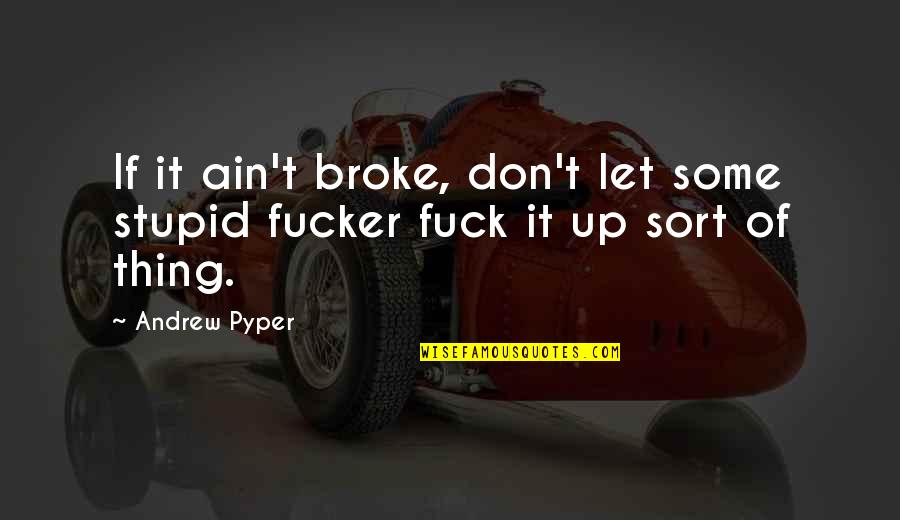I Ain't Stupid Quotes By Andrew Pyper: If it ain't broke, don't let some stupid
