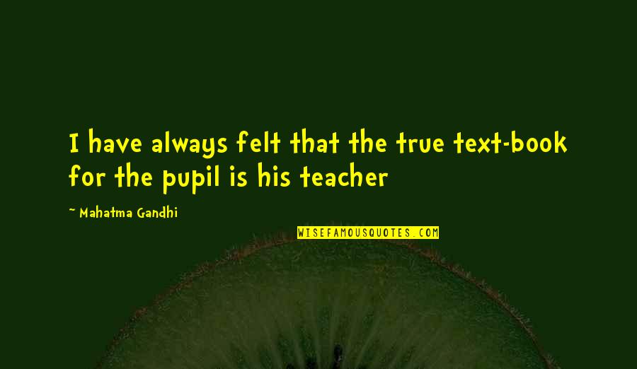 I Always Text You Quotes By Mahatma Gandhi: I have always felt that the true text-book