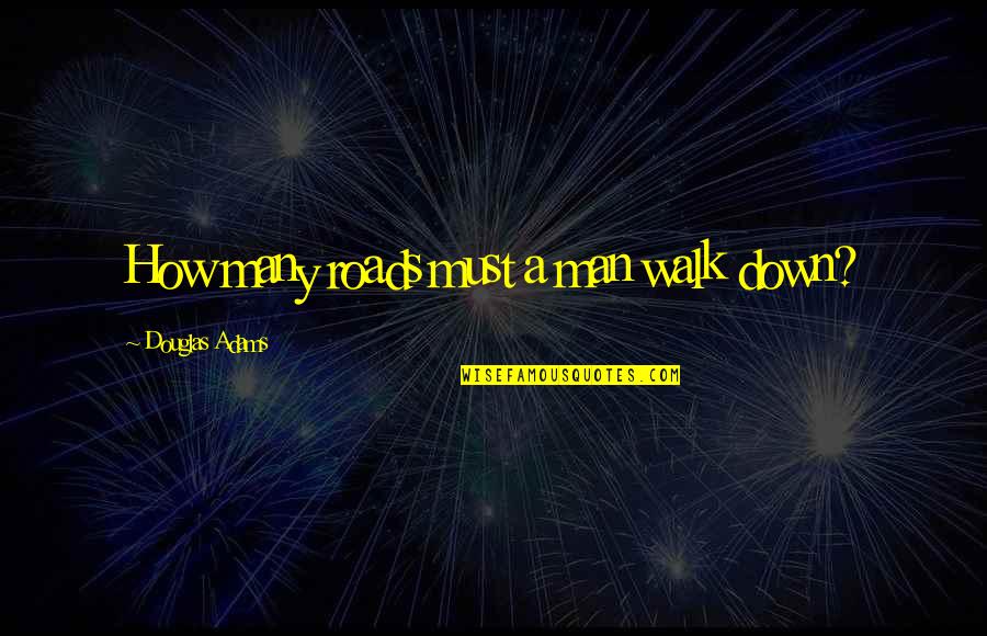 I Am 42 Quotes By Douglas Adams: How many roads must a man walk down?