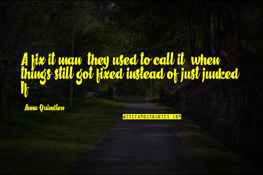 I Am A Beautiful Disaster Quotes By Anna Quindlen: A fix-it man, they used to call it,