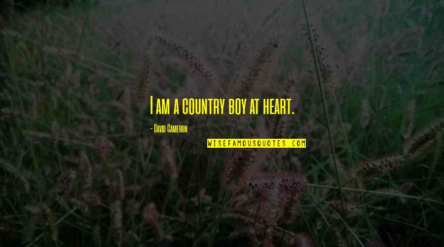 I Am A Boy Quotes By David Cameron: I am a country boy at heart.