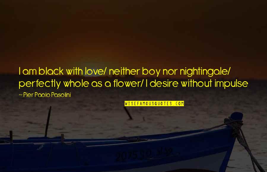 I Am A Boy Quotes By Pier Paolo Pasolini: I am black with love/ neither boy nor I Am A Boy Quotes By Pier Paolo Pasolini: I am black with love/ neither boy nor
