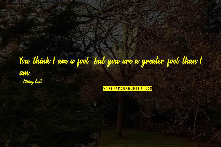 I Am A Fool Quotes By Sitting Bull: You think I am a fool, but you