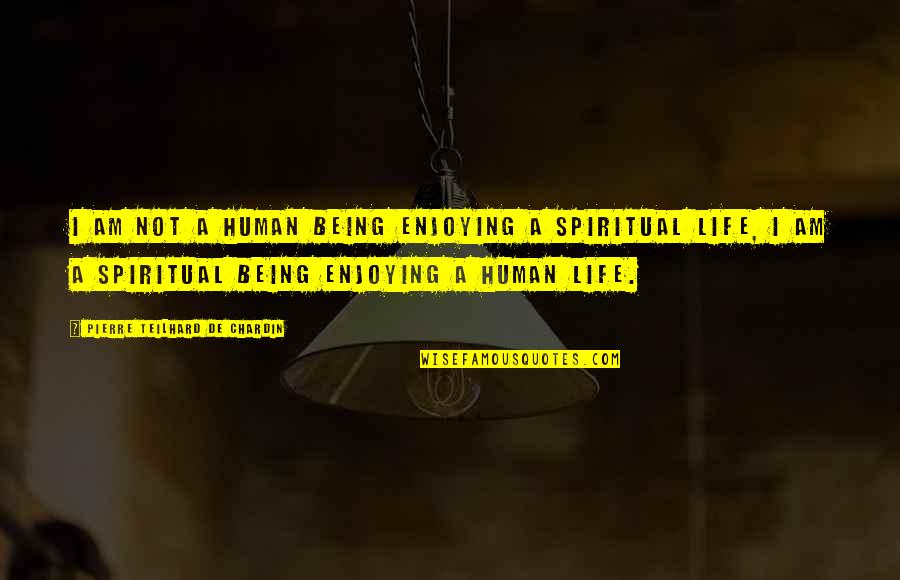 I Am A Human Being Quotes By Pierre Teilhard De Chardin: I am not a human being enjoying a