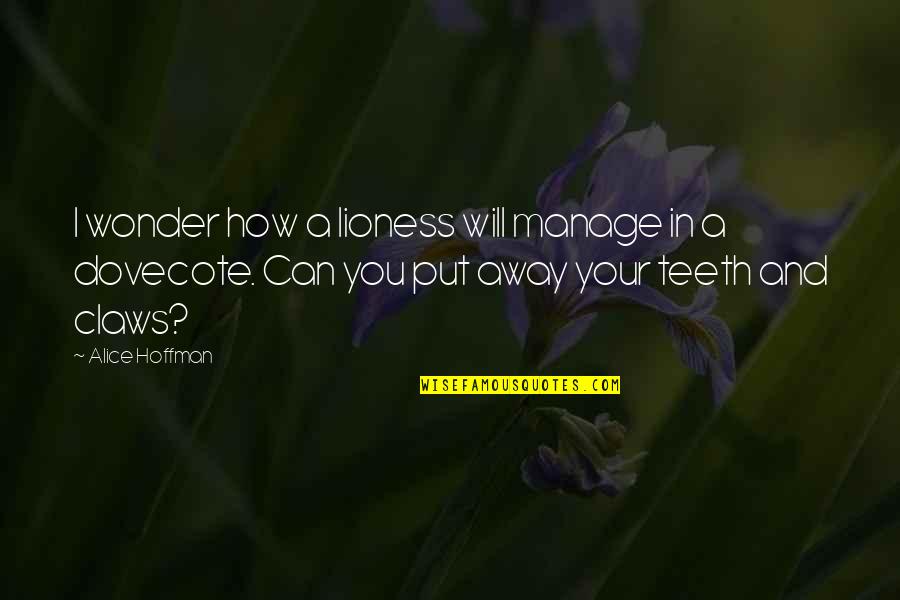 I Am A Lioness Quotes By Alice Hoffman: I wonder how a lioness will manage in I Am A Lioness Quotes By Alice Hoffman: I wonder how a lioness will manage in