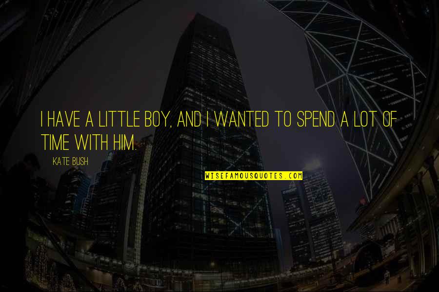 I Am A Little Boy Quotes By Kate Bush: I have a little boy, and I wanted