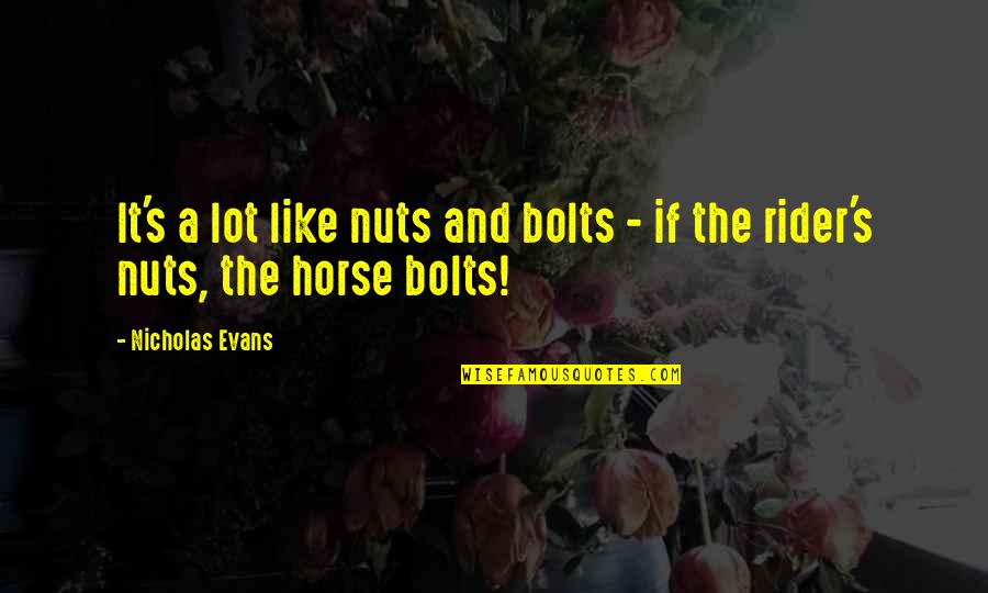 I Am A Rider Quotes By Nicholas Evans: It's a lot like nuts and bolts -