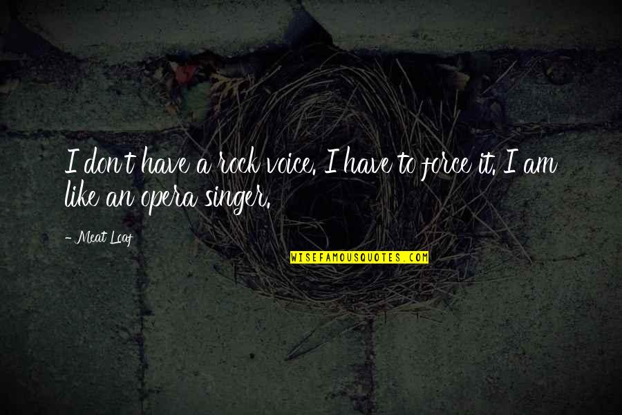 I Am A Rock Quotes By Meat Loaf: I don't have a rock voice. I have