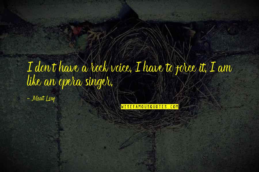 I Am A Singer Quotes By Meat Loaf: I don't have a rock voice. I have