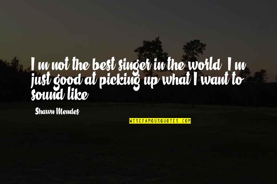 I Am A Singer Quotes By Shawn Mendes: I'm not the best singer in the world; I Am A Singer Quotes By Shawn Mendes: I'm not the best singer in the world;