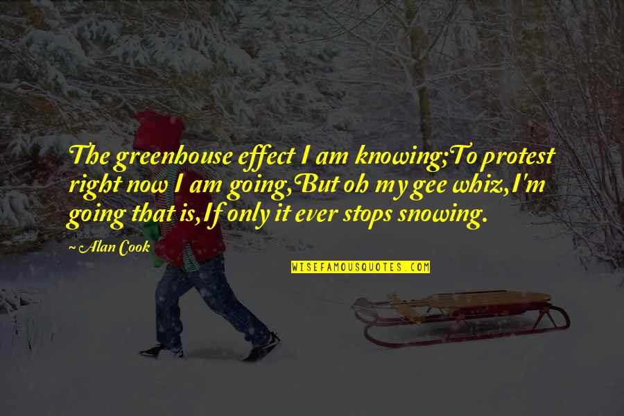 I Am All Knowing Quotes By Alan Cook: The greenhouse effect I am knowing;To protest right