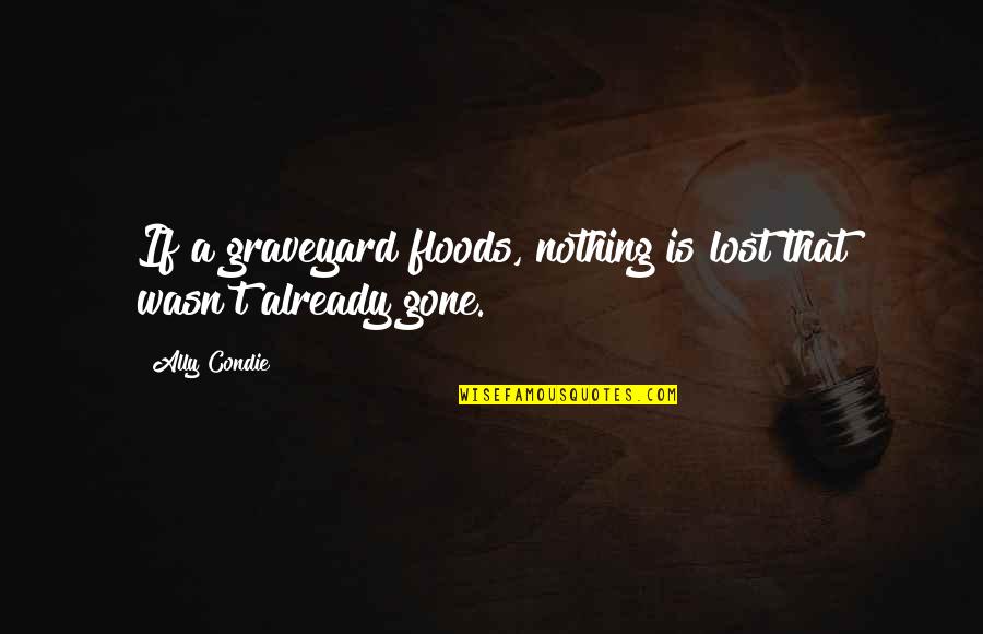 I Am Already Gone Quotes By Ally Condie: If a graveyard floods, nothing is lost that