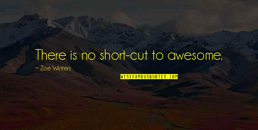 I Am Awesome Short Quotes By Zoe Winters: There is no short-cut to awesome.