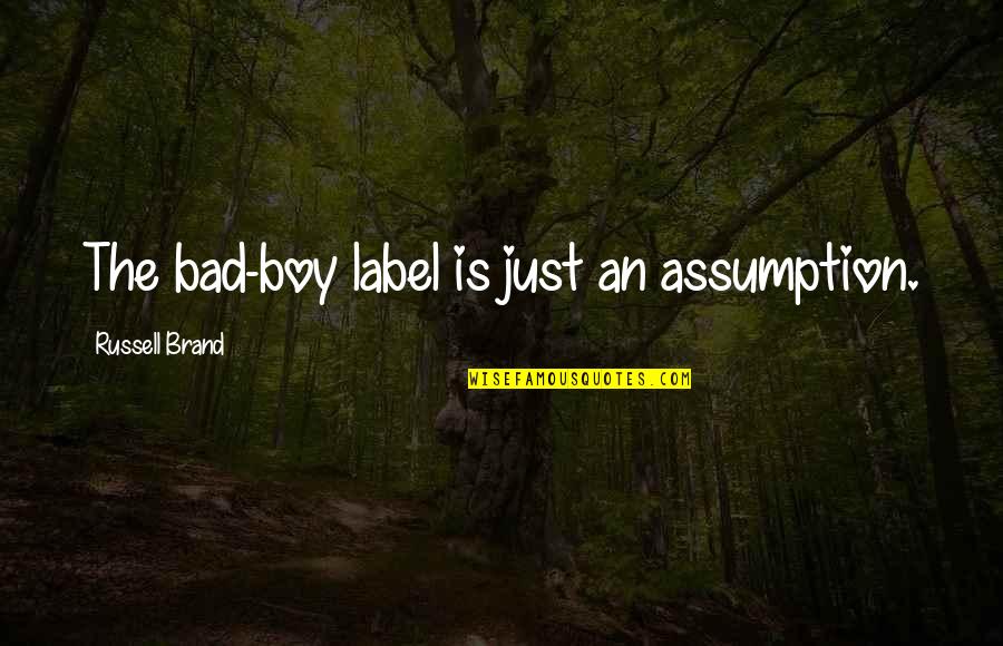 I Am Bad Boy Quotes By Russell Brand: The bad-boy label is just an assumption.