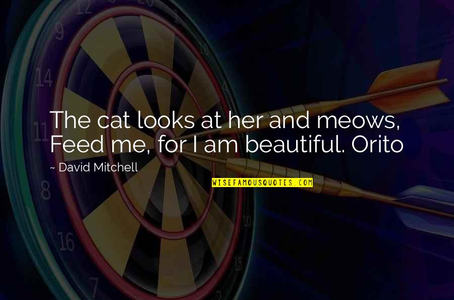 I Am Beautiful Quotes By David Mitchell: The cat looks at her and meows, Feed