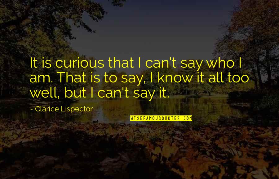 I Am Becoming Quotes By Clarice Lispector: It is curious that I can't say who