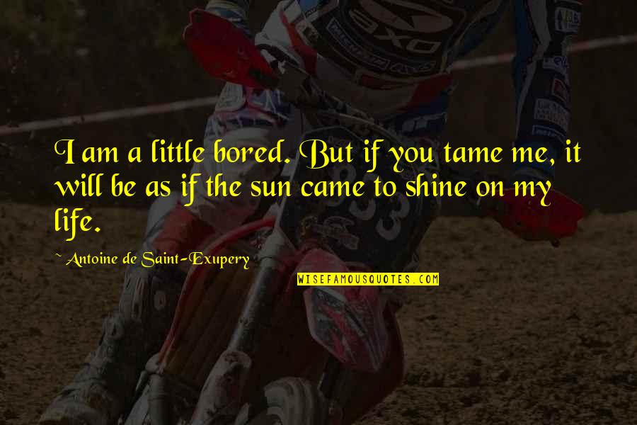 I Am Bored Quotes By Antoine De Saint-Exupery: I am a little bored. But if you I Am Bored Quotes By Antoine De Saint-Exupery: I am a little bored. But if you