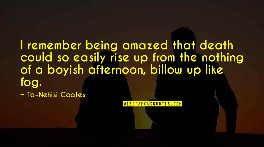 I Am Boyish Quotes By Ta-Nehisi Coates: I remember being amazed that death could so