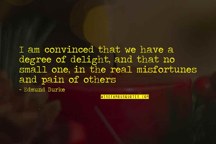 I Am Convinced Quotes By Edmund Burke: I am convinced that we have a degree