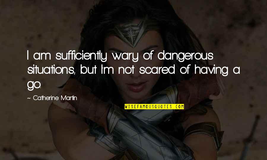 I Am Dangerous Quotes By Catherine Martin: I am sufficiently wary of dangerous situations, but