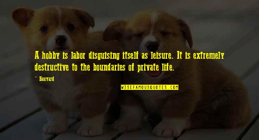 I Am Destructive Quotes By Bauvard: A hobby is labor disguising itself as leisure.