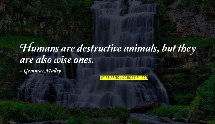 I Am Destructive Quotes By Gemma Malley: Humans are destructive animals, but they are also