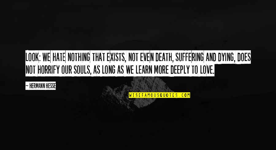 I Am Dying Love Quotes By Hermann Hesse: Look: We hate nothing that exists, not even