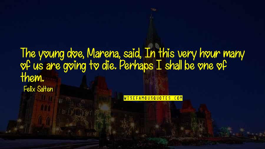 I Am Going To Die Soon Quotes By Felix Salten: The young doe, Marena, said, In this very
