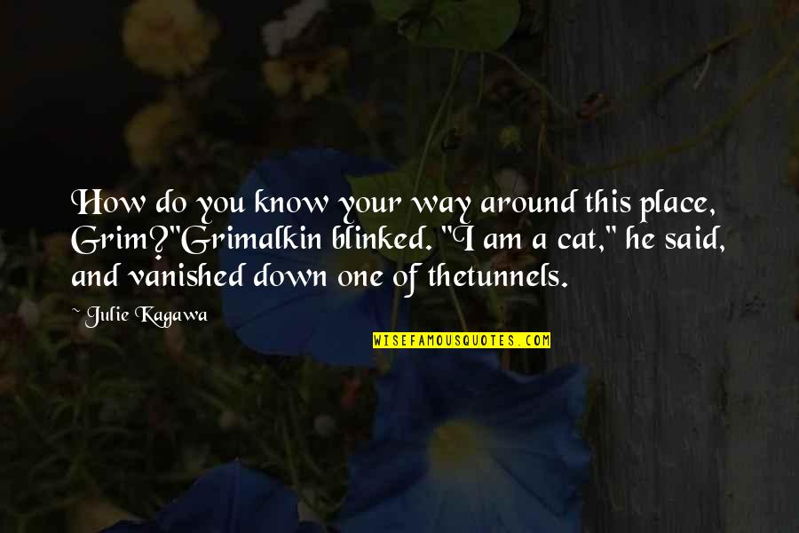 I Am Grimalkin Quotes By Julie Kagawa: How do you know your way around this